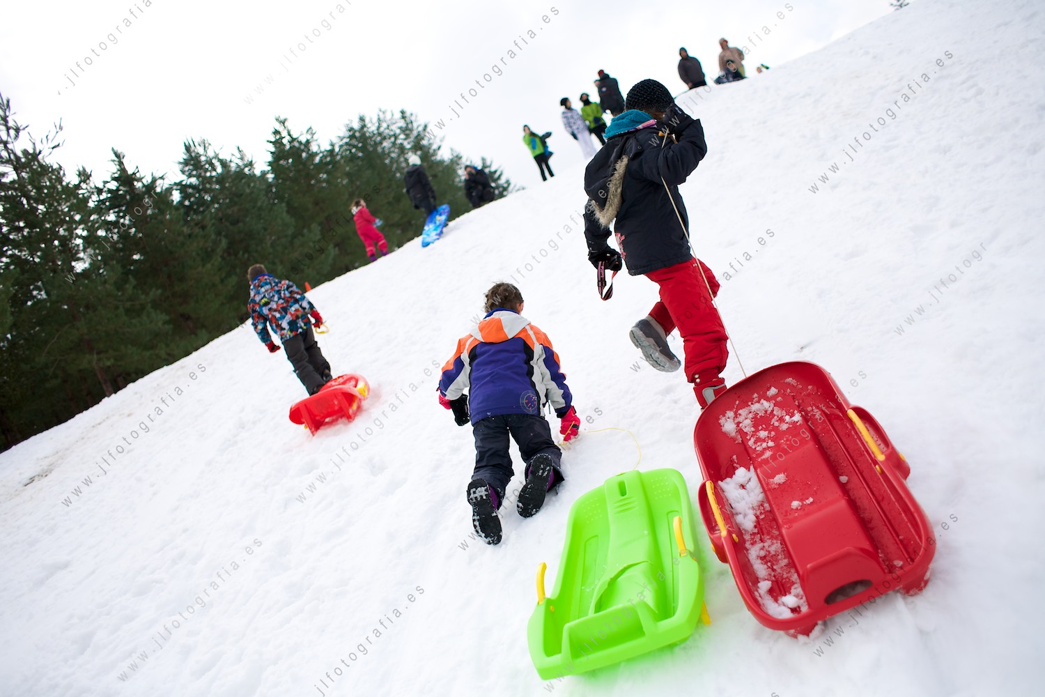 Dos niños tirando de sus trineos de nieve en la montaña, Zalla 