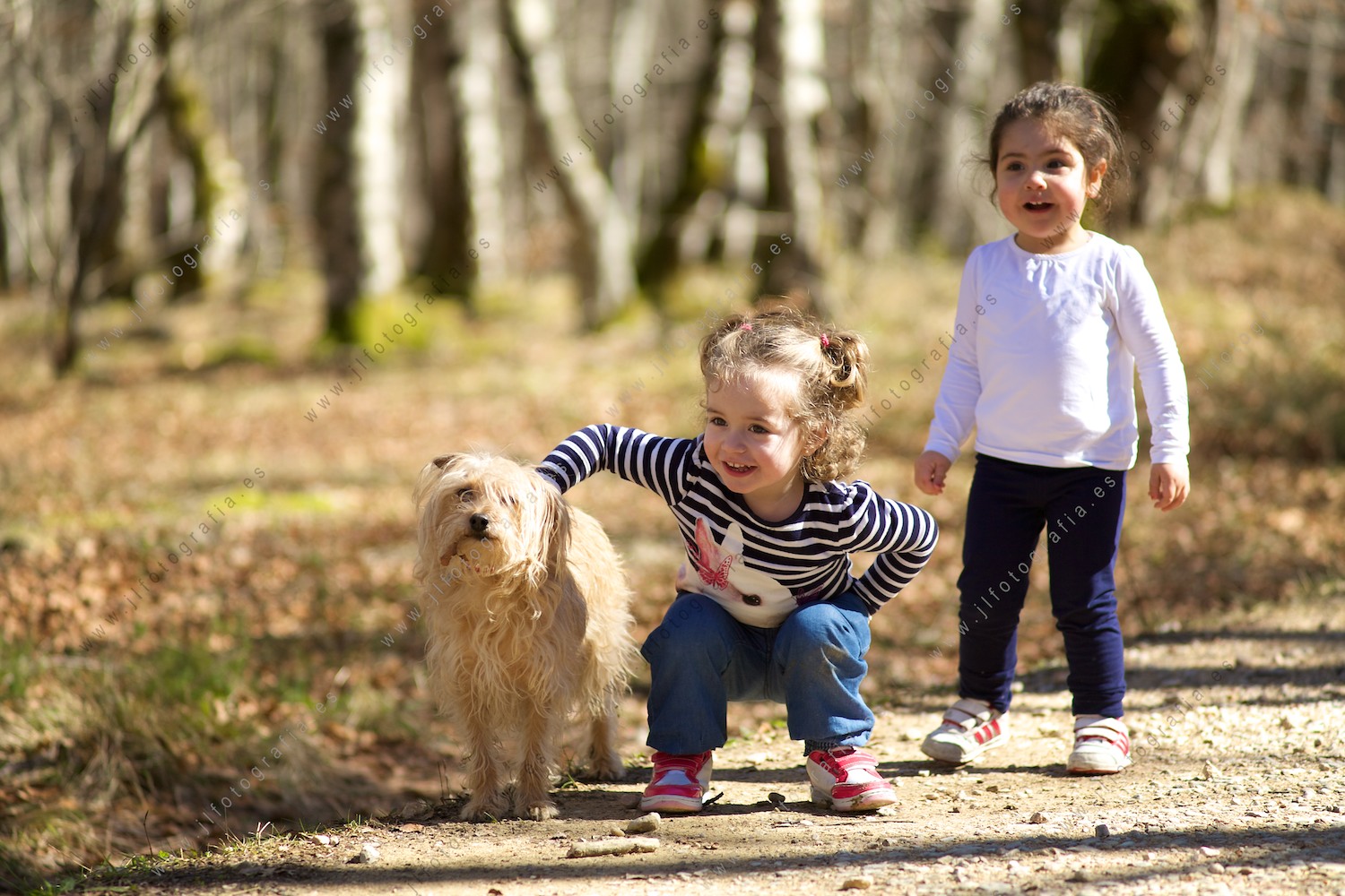 retrato de dos niñas que juegan con un perro en el paseo de los bosques de hayas de la sierra de Gibijo
