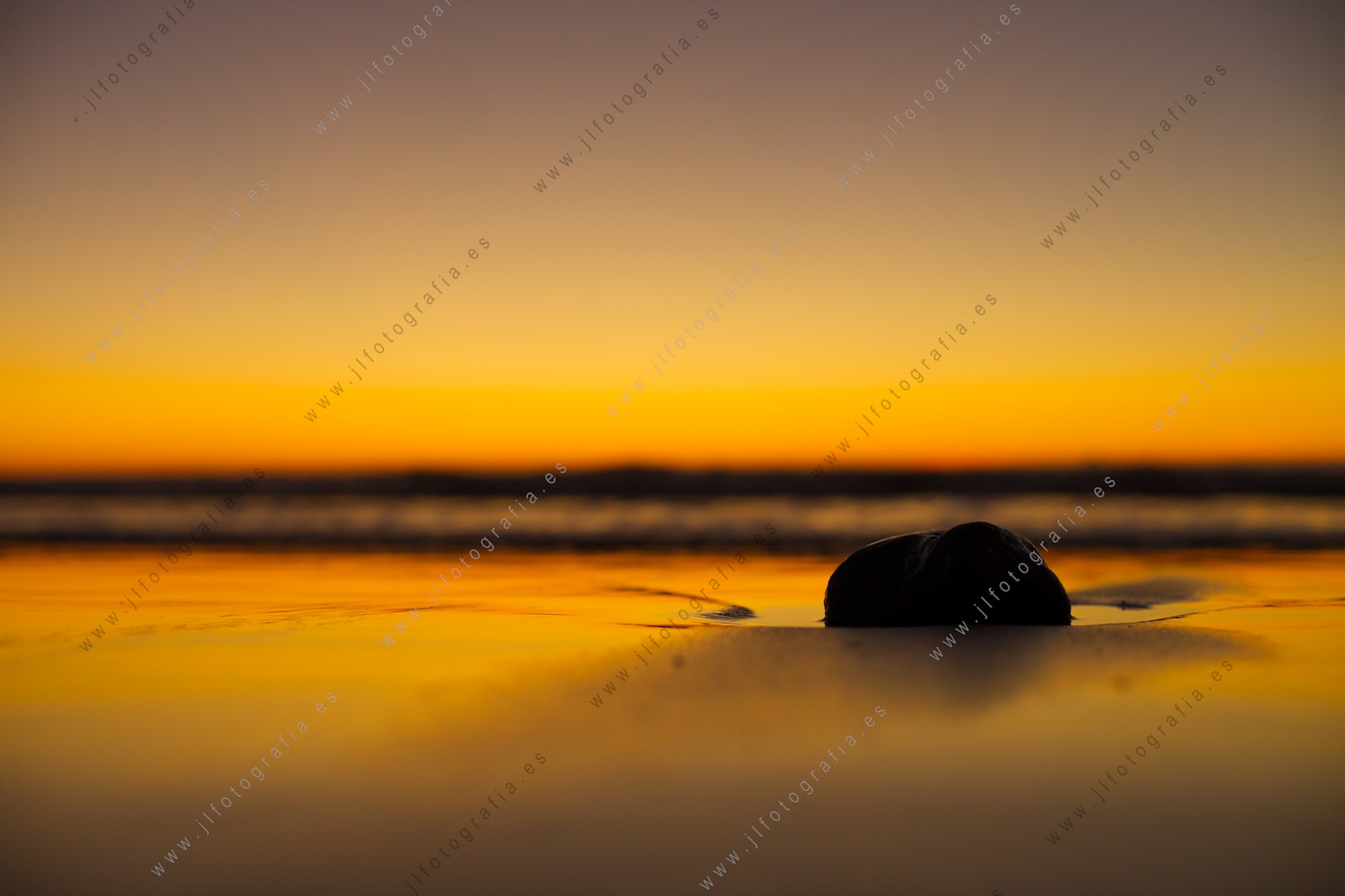 Fotografía minimalista de detalle de una piedra en la arena junto a la orilla en la playa de Sopelana.