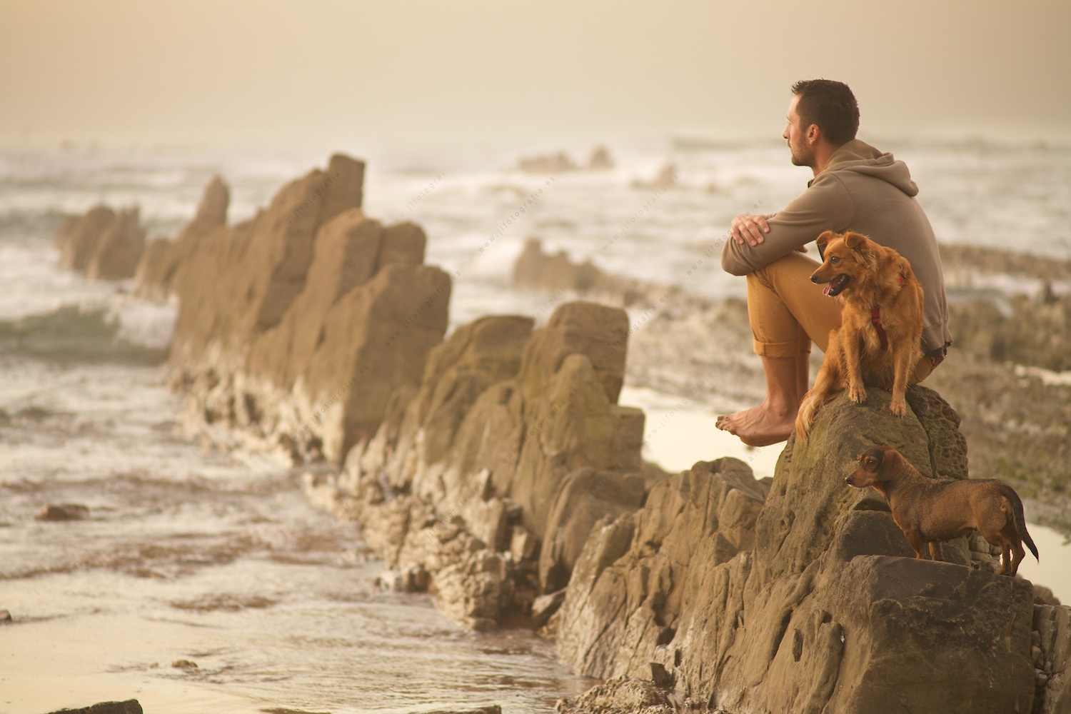 Un jóven con dos perros mirando al infinito, sentado en las rocas de la playa