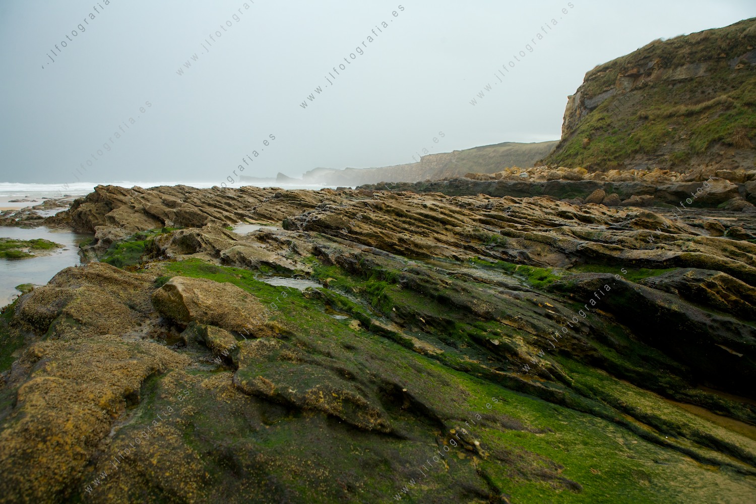 Rocas cubiertas de musgo, de la plataforma de abrasión de la costa quebrada de liencres en Cantabria