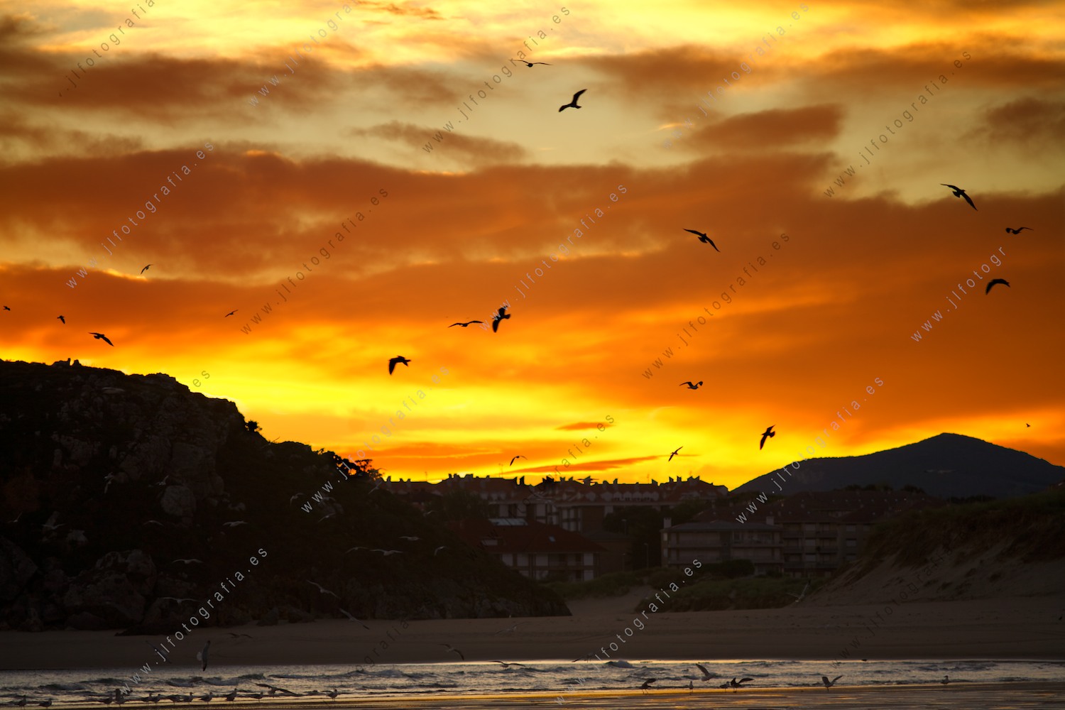 Costa de Noja, en la playa de Ris al amanecer con aves cruzando el cielo