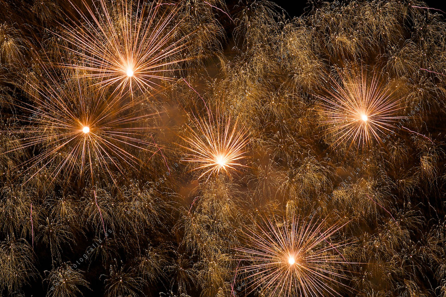 Fotografía de fuegos artificiales de la semana grande de fiestas de Bilbao, detalle de fuegos multiples palmeras