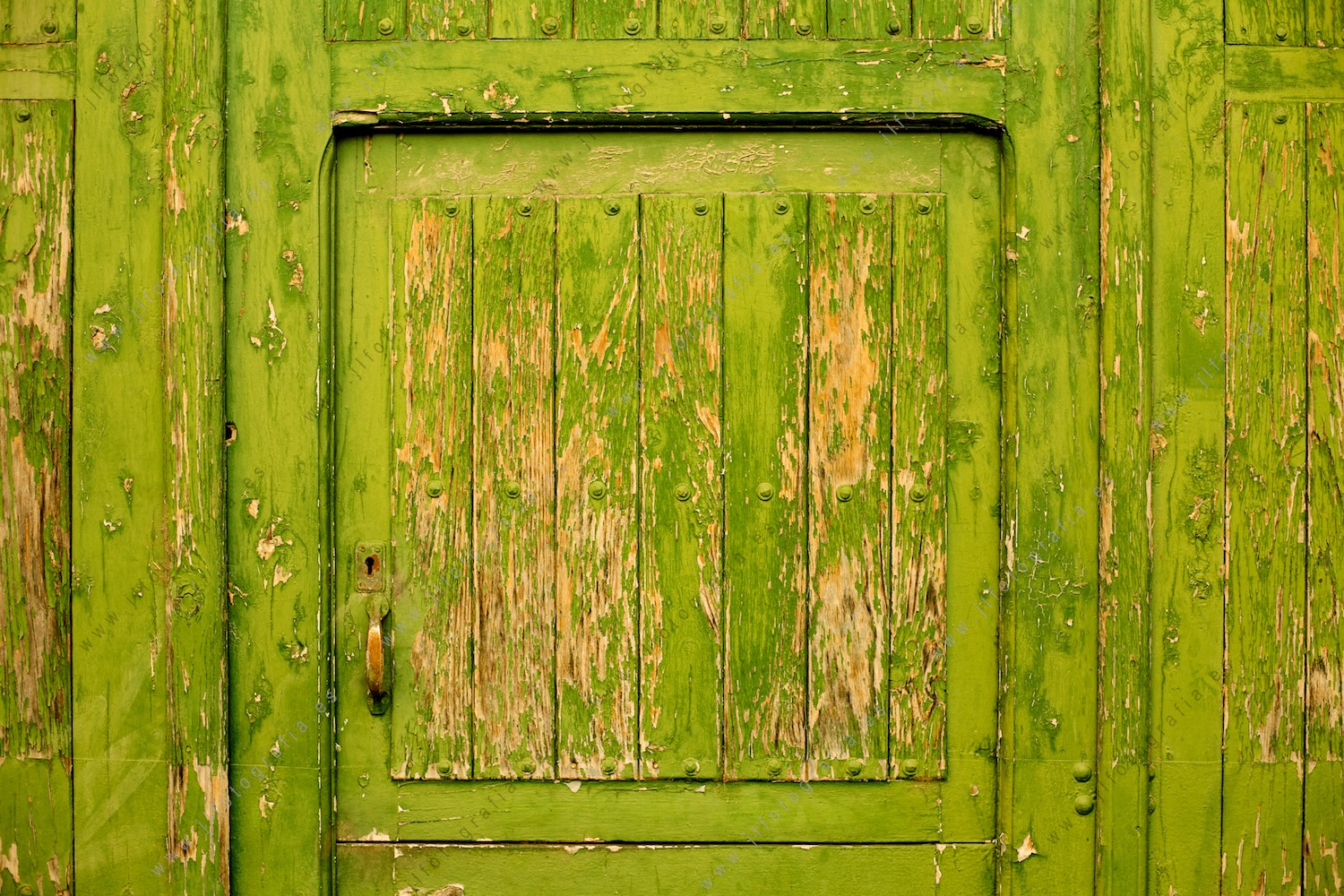Puerta de madera pintada de verde de un pueblo de Burgos