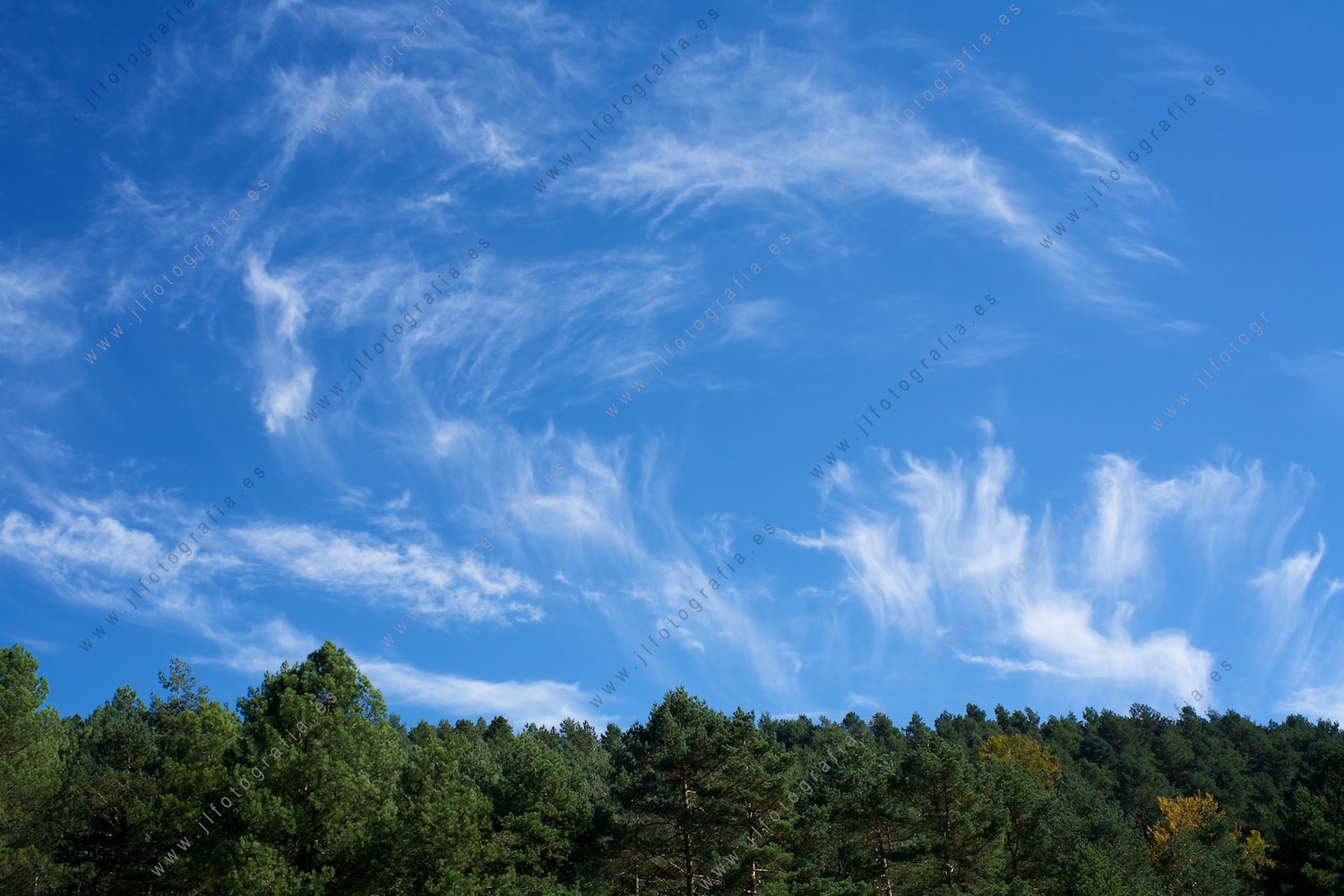 paisaje de copas de árboles y el cielo con nubes que dibujan barridos, desde el Gorbea.