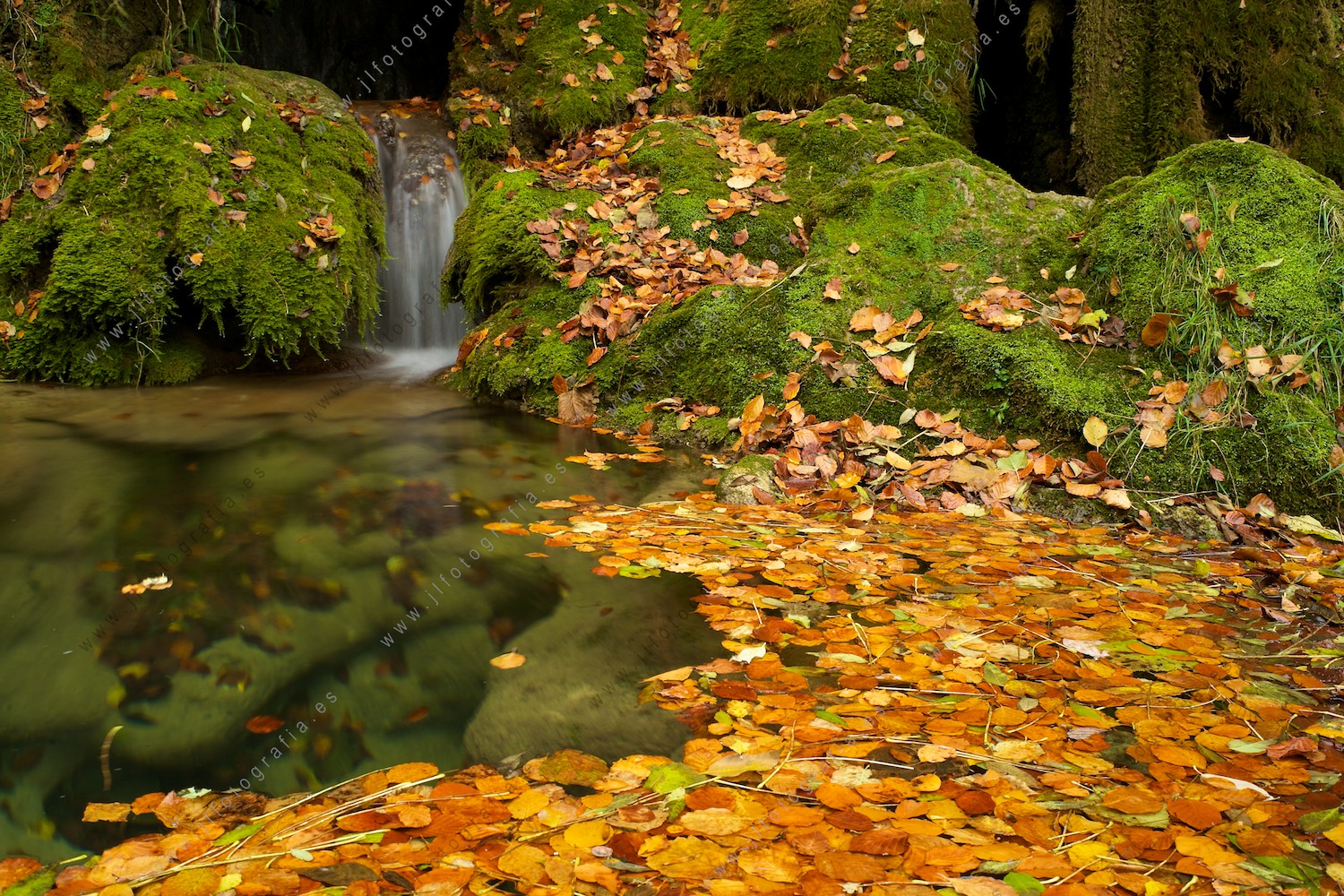 Remanso en un salto de agua del río en Andoin, detalle de hojas caídas de otoño