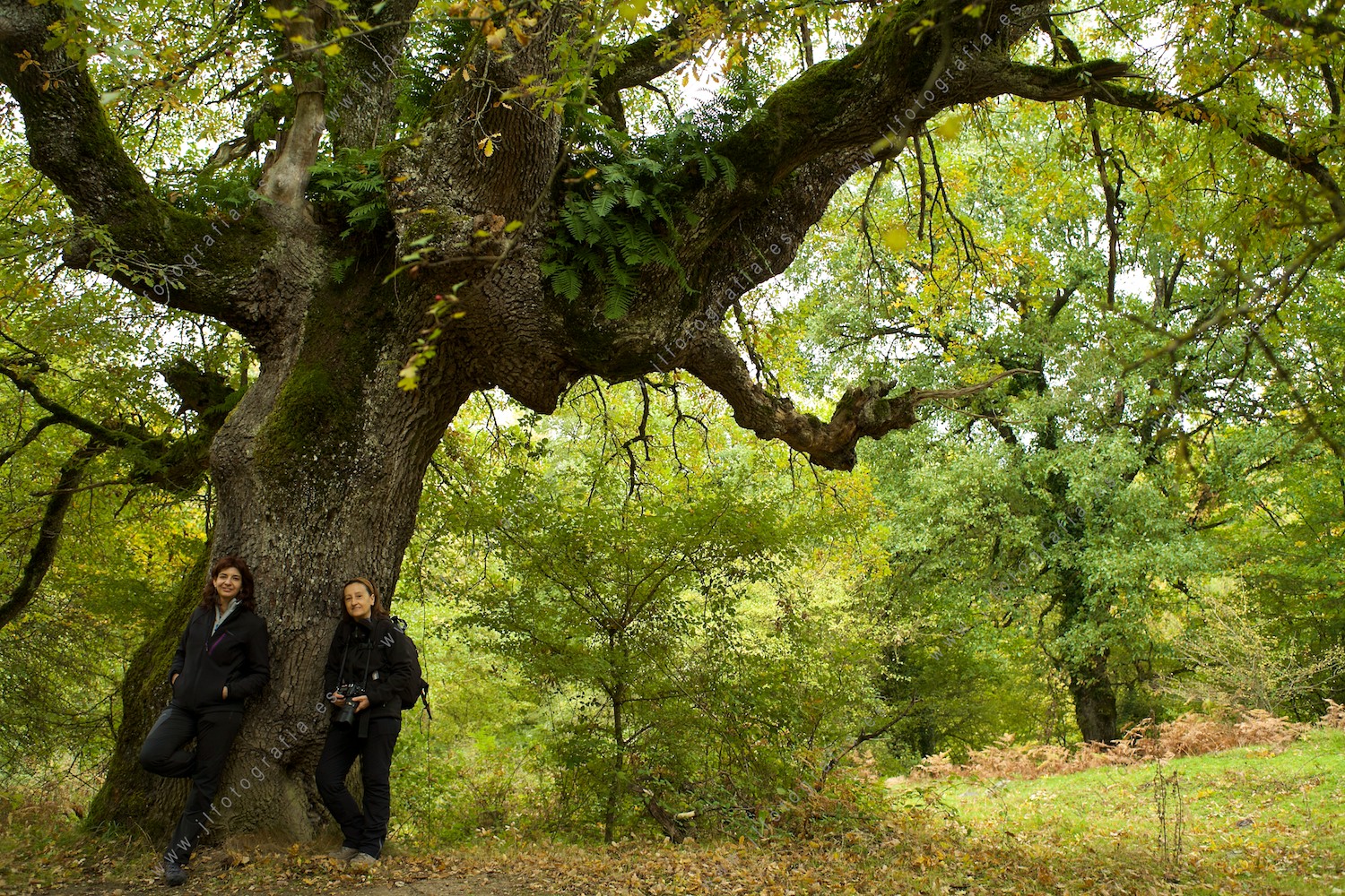 mis dos compañeras fotógrafas de Denbora posando bajo un árbol centenario en Andoin